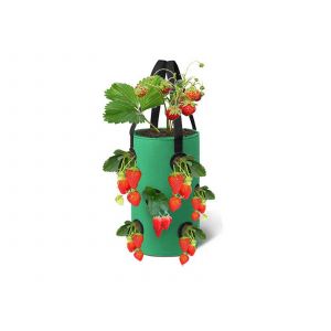 Sac de culture pour fraises de 3 gallons avec 12 trous pour l&eacute;gumes - Vert - Neuf