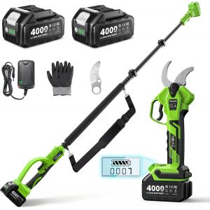 Nouvelhorizonstore-S&eacute;cateur &Eacute;lectrique Avec Perchel 2-En-1: Coupe 40mm S&eacute;cateur &Eacute;lectrique T&eacute;lescopique, Port&eacute;e Maximale Jusqu'&agrave; 4,5m, 2 Batteries 4,0ah, Lame Sk5 De Rechange, 4 Modes Pour Fleurs Et - Neuf