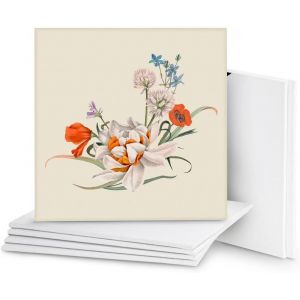Belle Vous Lot De 7 Toile A Peindre Petite Toile Vierge Préétirée - Idéales Pour La Peinture À L`Huile, Acrylique Et Pour Le Dessin Et Croquis (7pack - 16x16 Inch) - Neuf