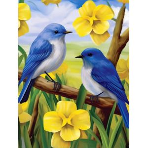 Ayuhr-5d Diamond Painting Diy Kits Oiseau Bleu, Fleurs Broderie Diamant Kits De Broderie Au Point De Croix Strass Rond Résine Peinture Décor À La Maison 30x40 Cm - Neuf