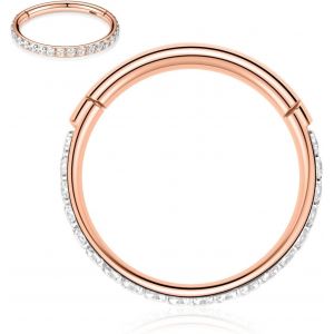 Kal-Piercings En Acier Chirurgical 316l Et Oxyde De Zirconium Pour Oreille Et Nez - Calibres 20, 18, 16, 14 - Anneaux Pour Homme Et Femme - Neuf