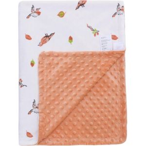 Tianyi-Lat Couverture Douillette Pour Bébé Naissance - Couverture Minky Pour Poussette Sièges Bébé (Oiseaux, 110 X 150 Cm) - Neuf