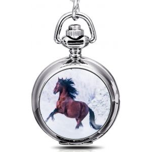 Bnhgc-Cheval Blanc Avec Miroir Fille/Femme Montre De Poche Quartz Pendentif Collier Argent - Neuf
