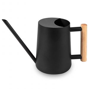 Intérieur arrosoir 35 oz avec Long Bec manche en Bois pour les Plantes - Neuf