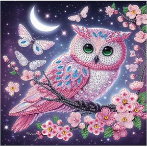 Ayuhr-Strass Forme Spécial Diamond Painting Hibou Et Chouette 30x30cm Diamant Art Chouette Strass Cristal Broderie Peinture Diamant Hibou Diamant Painting Animaux Peinture Par Numéros - Neuf