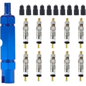 Kal-21 Pièces Outil De Démontage De Valve De Pneu Vélo, Valve Core Remover Repair Tool, Avec Universel Presta Valve Cores Et Bouchon, Vélo Schrader Presta Clé Outil Pour Vélo Vtt - Neuf