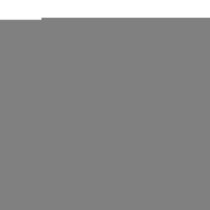 Plaid Ou Couvre-Lit 100% Laine - Neuf