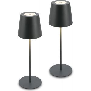 Lot De 2 Lampes De Table Led Sans Fil Avec Tactile,Dimmable,Hauteur R&eacute;glable,Lampe De Chevet,Lampe De Lecture,Lampe Led,Lampe Rechargeable,Ext&eacute;rieure,36x10,5 Cm,Anthracite - Neuf