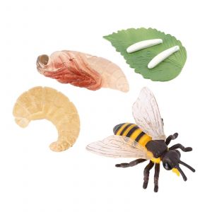 Plastique Enfants Insectes Abeilles Croissance Cycle De Vie Figures Education Learning Toys - Neuf