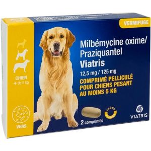 Milbemycine / Praziquantel Viatris Chien 2 Comprim&eacute;s - Neuf