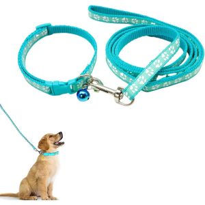 Eryi-Collier Et Laisse Pour Chien, Laisse De 120 Cm Pour Chien De Petite Et Moyenne Taille, Vert Menthe - Neuf