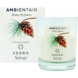 Sevenreeds Bougie parfumée en cèdre sauvage, parfum Home, parfum cèdre, bougie parfumée pour maison, aromathérapie, bougie en verre pour intérieur, durée de vie 30 heures - Neuf