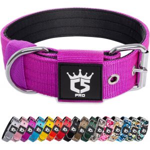 Jgd-Collier Tactique Pour Chien Avec Boucle En M&eacute;tal, Collier R&eacute;glable Pour Chien, Largeur 3,8 Cm, R&eacute;sistant Et Confortable Pour Les Chiens De Taille Moyenne &Agrave; Grande (Violet M) - Neuf