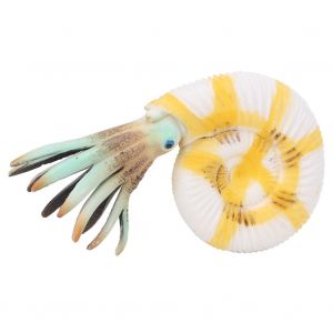 Jouet Educatif En Plastique Pour Enfants, Simulation D'animaux, Poisson-Encre - Neuf