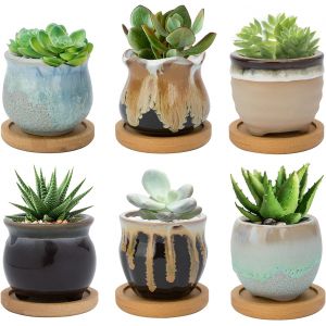 Nouvelhorizonstore-Lot De 6 Pots De Cactus En C&eacute;ramique De 6,5 Cm Pour Plantes Grasses D'int&eacute;rieur Et D'ext&eacute;rieur, Petit Pot De Fleurs Avec Drainage Et Plateau En Bambou, Id&eacute;al Pour La D&eacute;coration De - Neuf