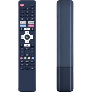 T&eacute;l&eacute;commande universelle compatible avec Sharp TV 32FG4EA 40FG2EA 32FG2EA pour Android TV D800208 D800220 Compatible avec EKO TV K240HSG K43FSG11 K320HSG K58USG pour Dyon Smart 42 32 40 43 AD - Neuf