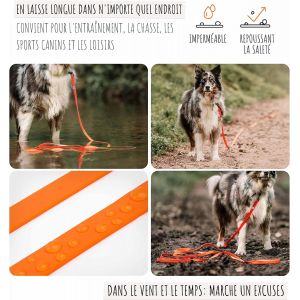 Longe Pour Chien 5m - Robuste Et R&eacute;sistante Aux Intemp&eacute;ries - Longe Avec Poign&eacute;e Rembourr&eacute;e - Laisse De Dressage Pour Chien Pratique Et Confortable - Neuf