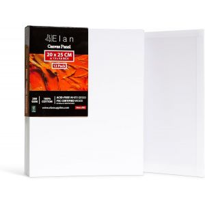 Panneau De Toile 20x25,100% Coton 12-Pack De Canvas Toile Peinture,Toile À Peindre,Panneau Toile Peinture,Tableau Peinture,Tableau Toile A Peindre Coton,Tableau A Peindre,Carton Entoilé - Neuf