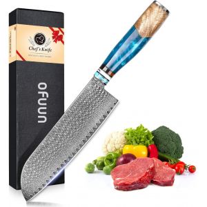 Couteau De Chef Damas, Couteaux Japonais Professionnelle En Acier Damas 67 Couches, Lame De 20cm Ergonomique R&eacute;sine Bleue Handle Avec Bo&icirc;te Cadeau - Neuf