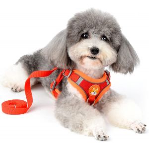 Rouge - Petit Chien Harnais Et Une Laisse Ensemble, Réglable Réfléchissant Chiot Harnais, Pas De Pull En Daim Souple De S'échapper Gilet Harnais Pour Chihuahua, Yorkie, Rouge (Taille - Neuf