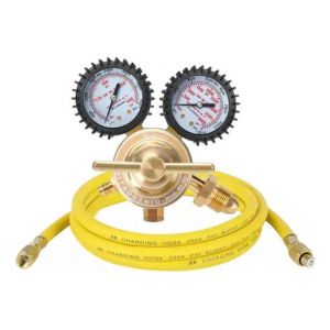 R&eacute;gulateur d'azote avec tuyau de 2 m&egrave;tres - Neuf