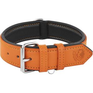 Chenquansarl-Riparo Collier Pour Chien En Cuir Véritable (Orange, L 3,8 Cm De Large Pour 45,7 Cm - 53,3 Cm De Cou) - Neuf