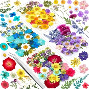 159 Fleurs S&eacute;ch&eacute;es,Fleurs Sechees Naturelles avec 1 Pince,Vraies Fleurs Press&eacute;es S&eacute;ch&eacute;es Decoration pour Scrapbooking Bougie Bricolage R&eacute;sine &Eacute;poxy Floral Fabrication Artisanale - Neuf