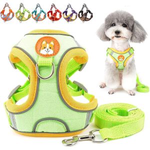Eryi-Ensemble Harnais Et Laisse Pour Petit Chien Anti Traction Réglable Réfléchissant Chiot Harnais Veste En Daim Souple Anti-Fuite Chat Harnais Pour La Promenade Pour Chihuahua Yorkshire Vert M - Neuf