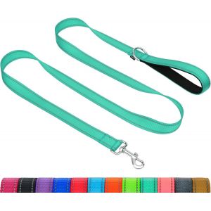 Laisse De Dressage R&eacute;fl&eacute;chissante Pour Chien, Poign&eacute;e Rembourr&eacute;e En N&eacute;opr&egrave;ne Et Crochet En M&eacute;tal, 1.8m X 2.5cm Laisse En Nylon Pour Moyens Grands Chiens, Turquoise - Neuf