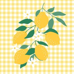 20 SERVIETTES PAPIER BRANCHE CITRONNIER VICHY 33CM - Neuf