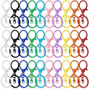 ERYI-Porte Clef Mousqueton, Mousqueton Porte Clé,30 Pièces Anneaux Porte Clé,Attache Porte Clé,Anneau Porte Clé Pour Bijoux Gadget Diy Décoratio (30) - Neuf