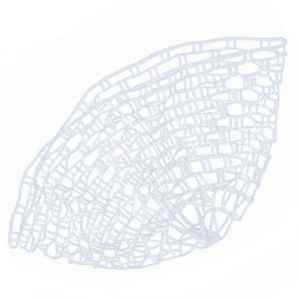 P&ecirc;che &Agrave; La Mouche En Plein Air &Eacute;puisette Filet De Remplacement En Caoutchouc Transparent (Mudium) - Neuf