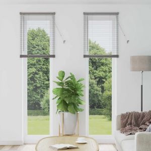 Vidaxl Store De Fenêtre Avec Des Rideaux Autre Argenté 60 X 220 Cm Aluminium - Neuf