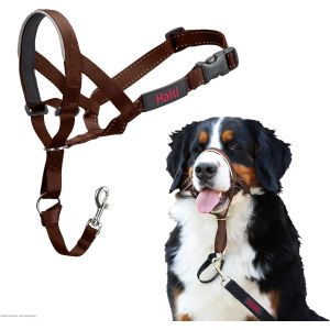 Eryi-Licol Halti - Pour Que Votre Chien Arrête De Tirer Sur Sa Laisse, Facile À Enfiler, Partie Entièrement Matelassée Sur Le Museau, Colliers Anti-Traction Pour Grands Chiens (Taille 4, Brun Noisett - Neuf