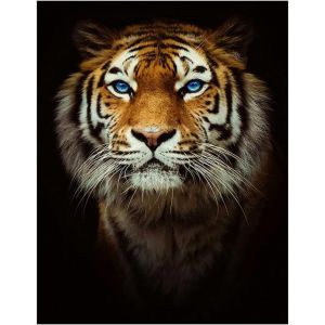 Ayuhr-Peinture Diamant Animals Carré Carre Grand Tigre 40x50cm Square Diamond Painting Accessoires Broderie Diamant Animaux Pierres Carrées Peinture Par Numéros Perle Diamant Point De Croix Décor - Neuf