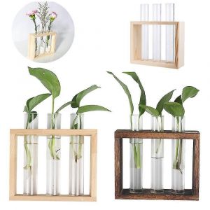 Nouveau produit,jardinière en verre suspendue murale Terrarium de plantes dans un support en bois pour la propagation de plantes hydropoinc - Neuf