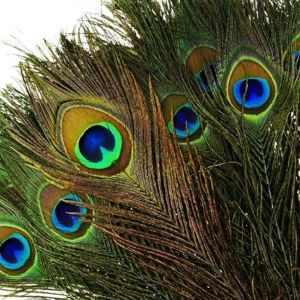 Mevronisshop-12pcs Plumes Naturelles De Paon Avec Des Yeux De Plumes De Queue De Paon Pour La F&ecirc;te De Mariage Arts And Crafts Home Decorations (12, 10-12inch/25-30cm) - Neuf