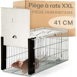 VornixorSarlshopPi&egrave;ge &agrave; Rats Vivante 41 cm - XXL Pi&egrave;ge Loir - Respectueux des Animaux & R&eacute;utilisable - Pr&ecirc;t &Agrave; l'emploi - Int&eacute;rieure et Ext&eacute;rieure - Neuf