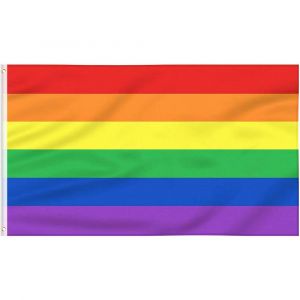 Drapeau de la fierté 90 cm x 150 cm 3 x 5 pieds avec 6 bandes ¿ Couleurs vives et résistant aux UV ¿ Drapeau du mois de la fierté 3 x 5 pieds en polyester avec deux ?illets métalliques LGBT - Neuf