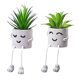 Simulation de plantes succulentes - Artificiel en pot - Plantes succulentes (2 pièces) - Interesting Plant Bons - Neuf