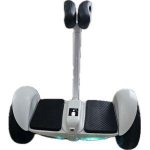 Gyropode 350 Watt X2 - Neuf