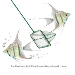 Hjlian Epuisette De Peche Portable Carree Verte Pour Aquarium, Objets Flottants, Outils De Nettoyage, 4 Pouces - Neuf