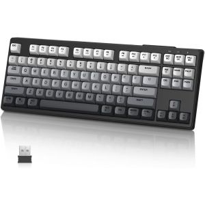 M87 TKL¿Clavier de Jeu sans Fil Double Mode, Bluetooth/2,4 GHz, Touches PBT, Batterie Rechargeable 4000 mAh, Clavier rétroéclairé Arc-en-Ciel de Couleurs mélangées avec Sensation mécanique - Glimmer - Neuf