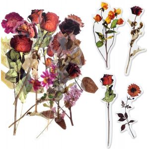 Autocollants De Scrapbooking De Grande Taille En Forme De Fleurs Et De Feuilles En Pet Transparent Pour Loisirs Créatifs, Scrapbooking, Journal Intime, Planificateur (Rouge) - Neuf