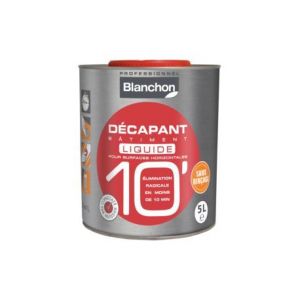 D&eacute;capant B&acirc;timent 10' Liquide 5L - Neuf