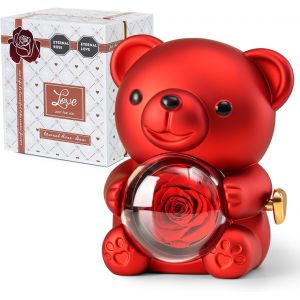 Ours en Rose Rouge avec Rose &Eacute;ternelle - Fleurs R&eacute;elles et Collier en Forme de C?ur - Coffret Gris &Eacute;l&eacute;gant - Id&eacute;e Cadeau pour Saint-Valentin, F&ecirc;te des M&egrave;res, Mariage, Anniversaire - Neuf