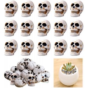 Cauc-20 Pi&egrave;ces Mini Cr&acirc;nes D&eacute;cor T&ecirc;te De Squelette Mini R&eacute;sine R&eacute;aliste Cr&acirc;ne Mini R&eacute;alistes Halloween Mini T&ecirc;tes D&eacute;cor De Mini Cr&acirc;nes D&eacute;coration Pour Halloween Pour Le Paysage Jardin En Pot D&eacute;cor - Neuf