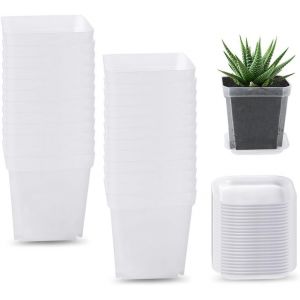 lbgwp60-24 Pièces Godet Semis Plastique 7 Cm,Petit Pot De Fleur Transparent,Pots De Plantes Intérieur Exterieur,Flower Pot De Culture,Godets De Repiquage Carre,Pot De Rempotage Orchidées,Cactus,Herbe - Neuf