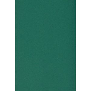 20x Carton Vert Foncé 250g Papier Décoratif A4 210x297mm Burano English Green Idéal Pour Cartes De Voeux Scrapbooking Bricolage Invitations Art Et Artisanat Anniversaire Diy Loisirs Créatifs - Neuf