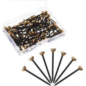 100 Pièces de Cadre de Clous Image Clous de têtes de Clous en Laiton Épingles à Tête de la Pendaison de Clous avec caisse de Rangement en Plastique pour Montage Mural - Neuf